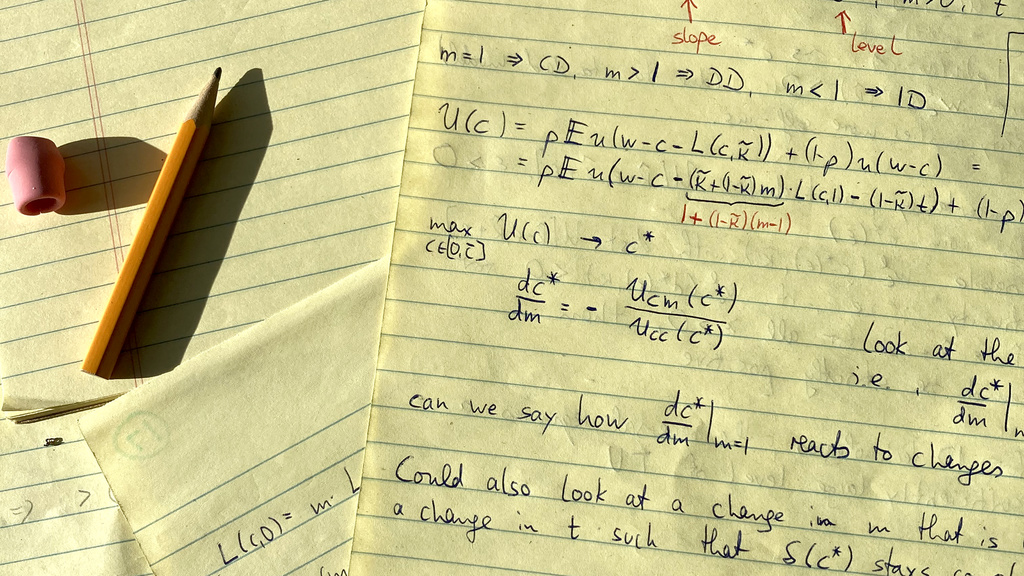 Richard Peter's handwritten theoretical models