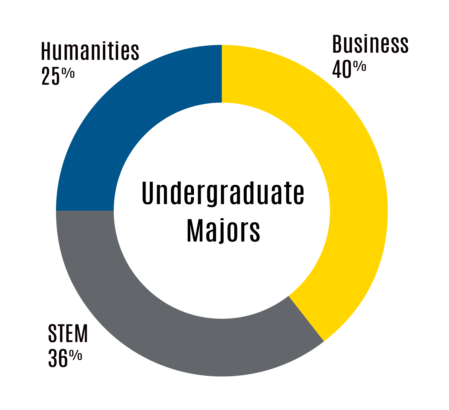 Chart of undergrad majors