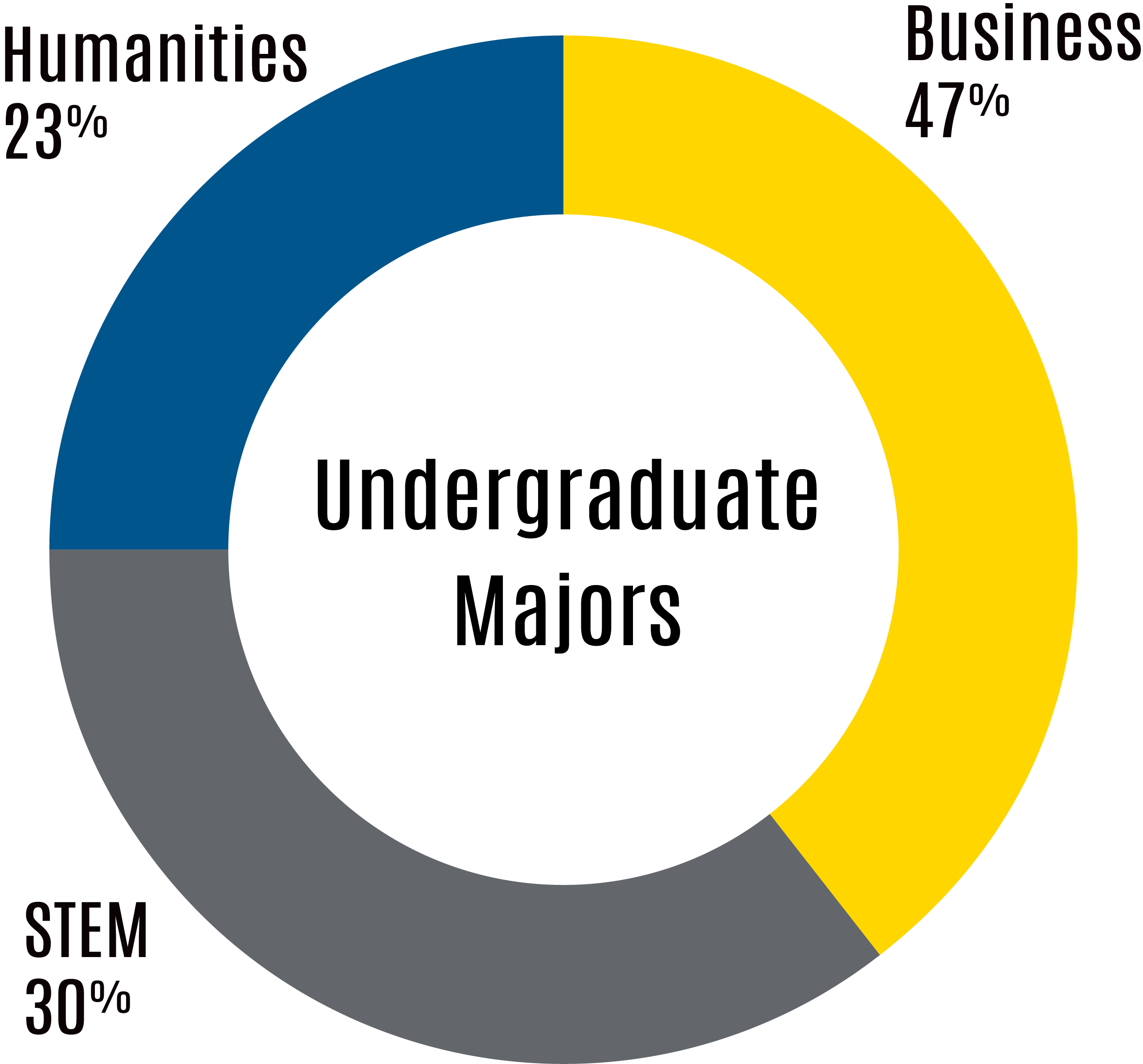 Undergraduate majors chart