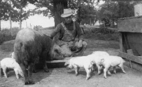 Henry with pet hogs