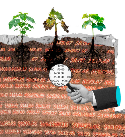 Collage of dirt with plants above and roots below. One plant has black, rotten roots, and a hand is holding a magnifying glass to those black roots. 