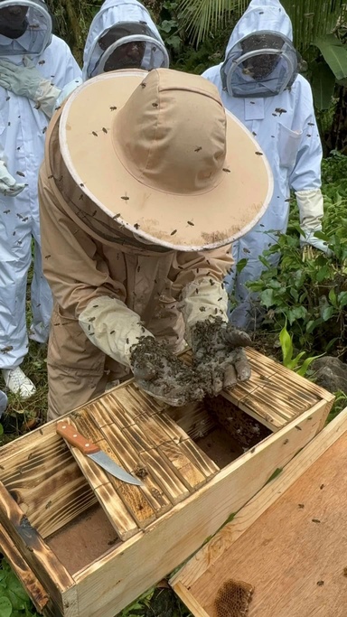 A beekeeper works with a live hive.