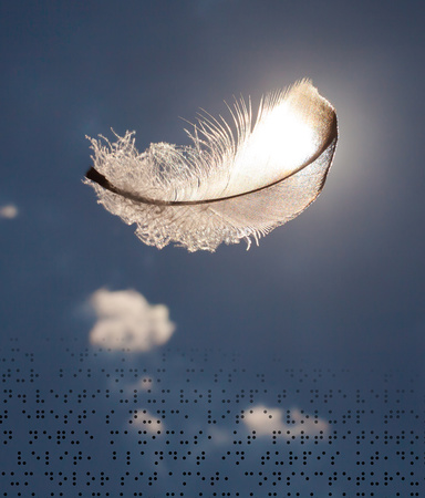 Backlit feather with blue sky and braille dots in the background