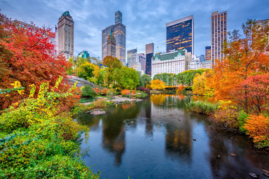 Central Park with fall colors