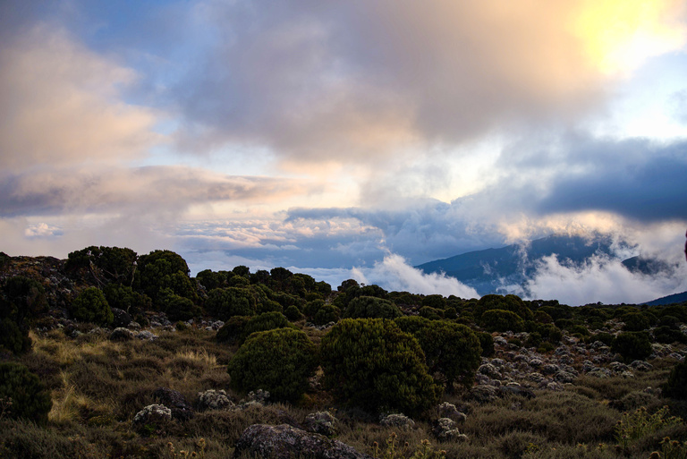 Mt Kilimanjaro