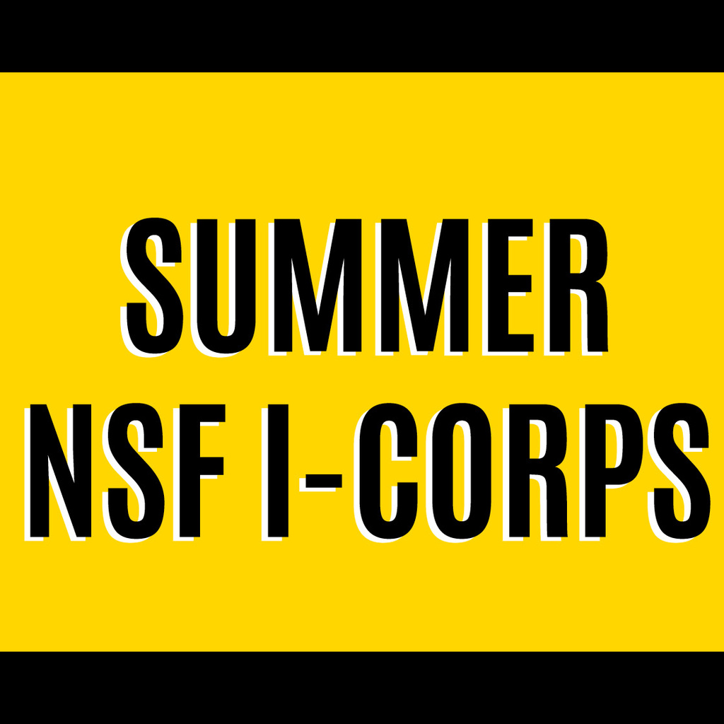 Summer Session NSF I-Corps promotional image